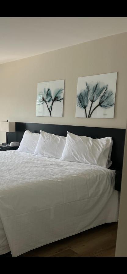 Richland Inn And Suites Buitenkant foto